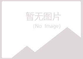 鹤山区慕青音乐有限公司